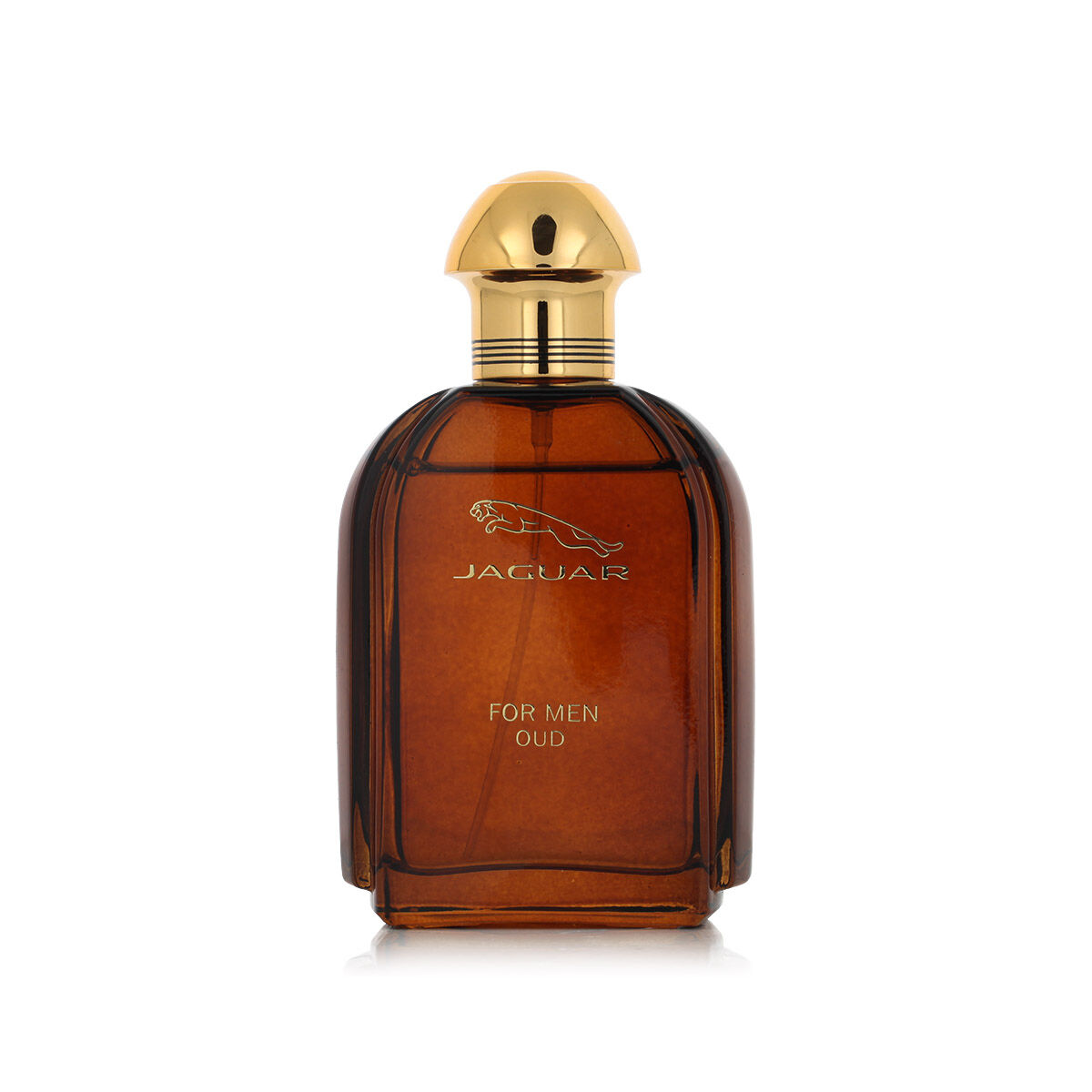 Ανδρικό Άρωμα Jaguar EDP Oud 100 ml